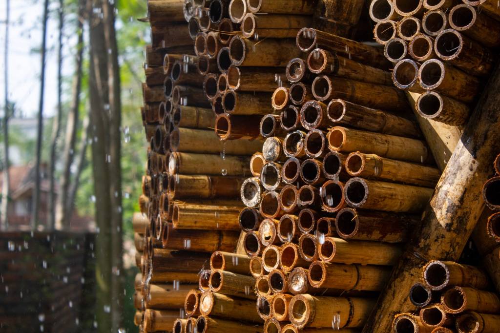 torre-de-bambu-ciclovivo-Olivier Dauce-06 torre-de-bambu-ciclovivo-Olivier Dauce-06