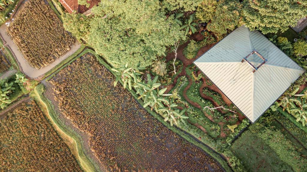 conheca-casa-na-arvore-em-bali-arley-mardo-vista-aerea-com-jardim-comestivel Vista aérea da casa na árvore com jardim ao redor e horta.