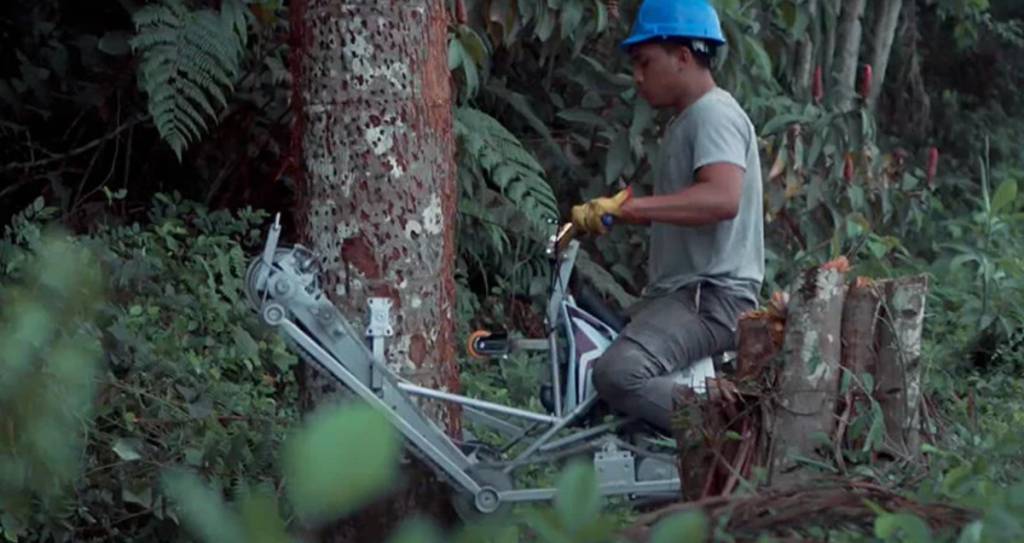 bicicleta-de-escalar-arvores-designboom-03 Trabalhador subindo palmeira com a bicicleta
