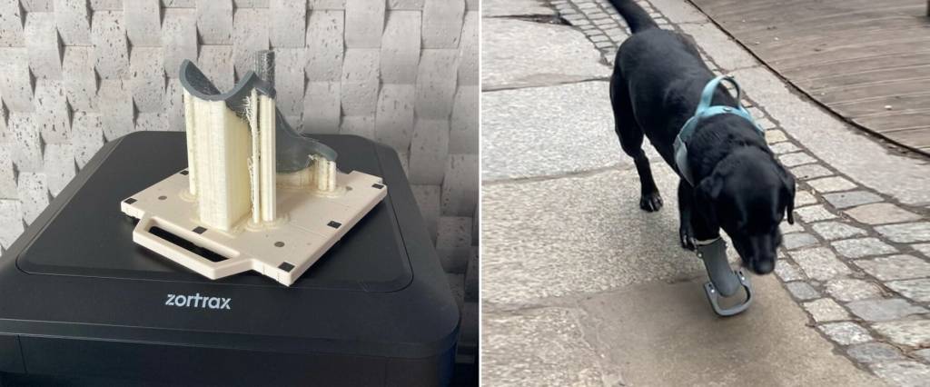 Veterinário-imprime-prótese-3D-para-cãezinhos-andarem Duas fotos justapostas. Na primeira, prótese impressa em 3D. Na segunda, Leto, cachorro de médio porte todo preto, em sua primeira caminhada com a prótese impressa em 3D. Ela á uma peça cinza encaixada ao membro esquerdo da frente.