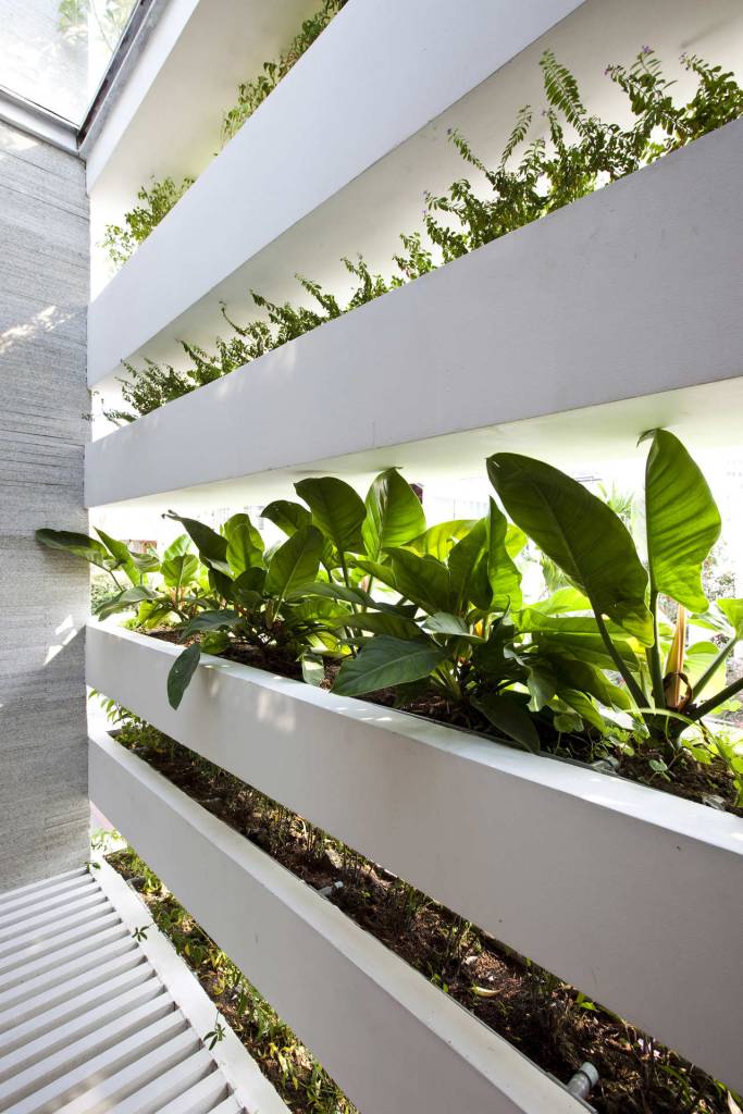 biofilia-fachada-verde-traz-benefícios-a-casa-vietna-hiroyuki-ori-caixas-concreto-com-plantas-jardim-vertical Foto mostra mais em detalhe as caixas de concreto na cor branca com plantas, que fazem o fechamento de toda a parede da casa.