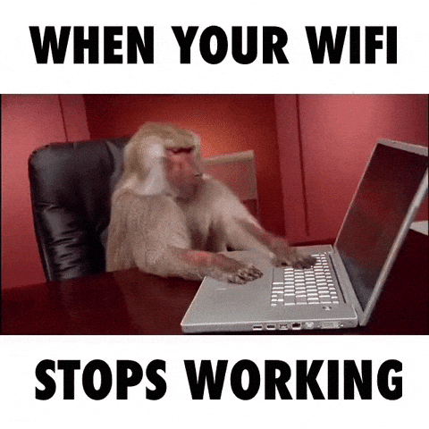 posicao-roteador-melhorar-wi-fi-giphy Gif com macaco digitando em computador