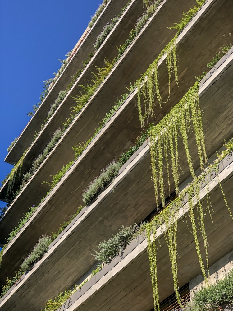 Foto mostra, de baixo para cima, alguns pavimentos de prédio com floreiras cheias de plantas, com céu azul ao fundo.