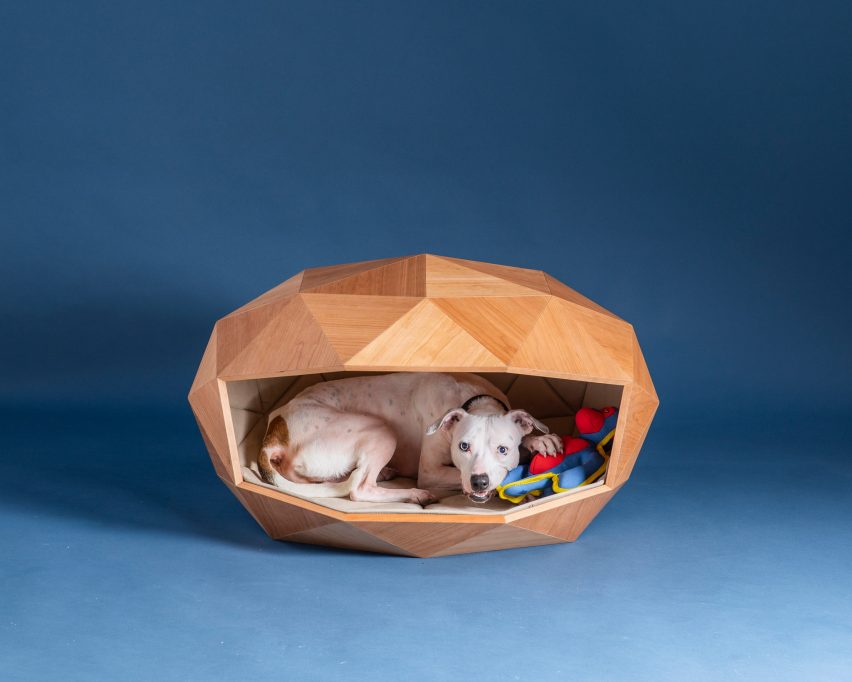 foster-partners-goodwoof-barkitecture-canil2 Cão deitado dentro do canil com um brinquedo em sua boca.