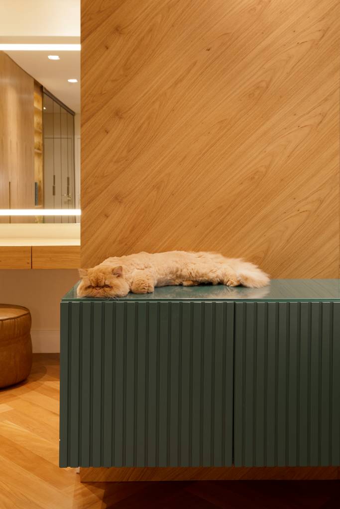 Ape-de-210-m2-apresenta-muita-madeira-e-detalhes-ousados-Projeto-Cassim-Calazans-Foto-Julia-Ribeiro-gato-movel-verde-madeira Gatinho deitado em um móvel verde