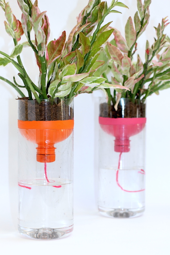 Como-fazer-um-vaso-autoirrigável-reciclado-10 Vaso autoirrigavel reciclado
