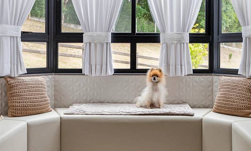 casa-campo-decoracao-cottage-Benvenutti-Pivetta Arquitetura-04-sofa-pet-cachorro
