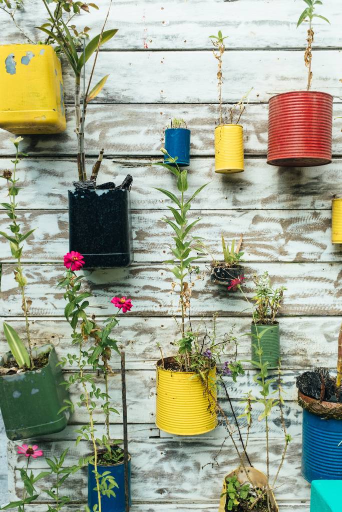 4-flores-e-friozinho-dicas-para-cuidar-das-plantas-no-inverno Jardim vertical com latas