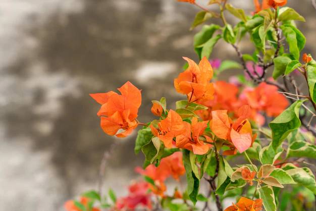 como-plantar-cuidar-primavera-freepik Primavera amarelada
