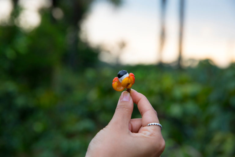 ANF6355-768×512 10 alimentos que dão mais energia e disposição ao corpo