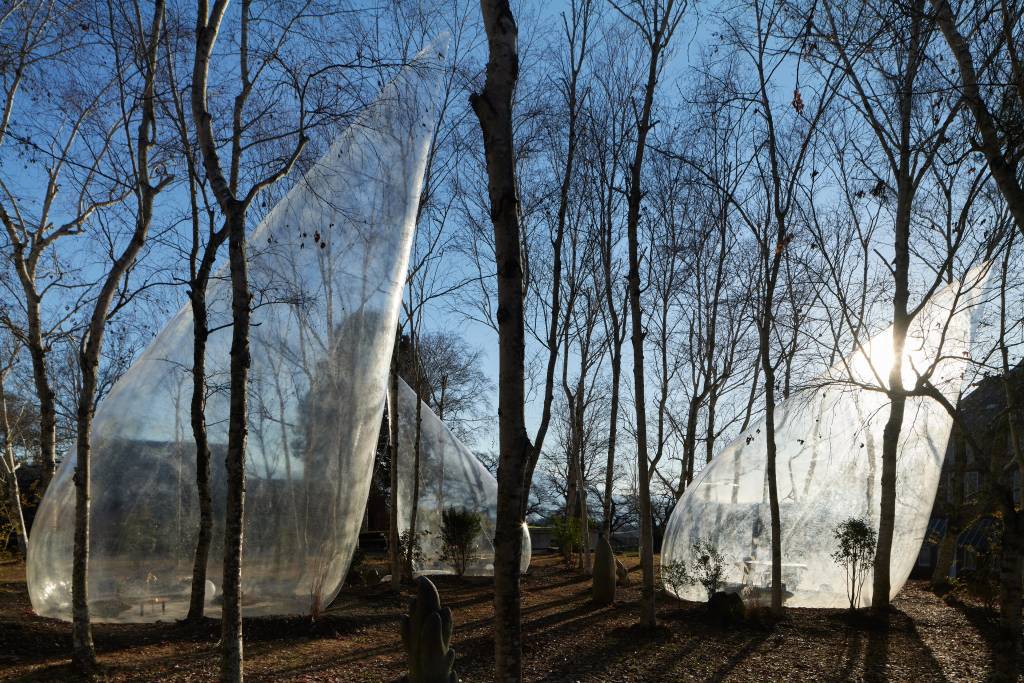 Cabanas em formato de gota em floresta