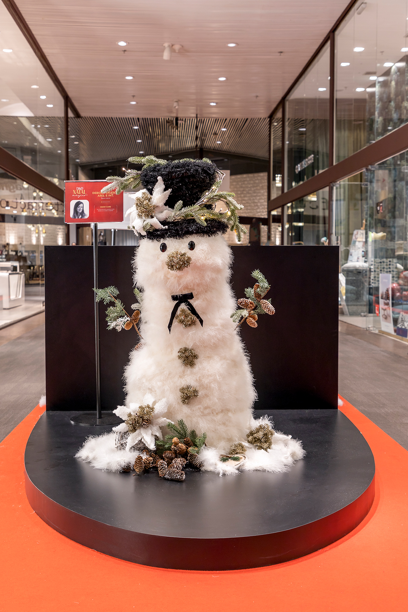 Debora Valente - Snow Care.