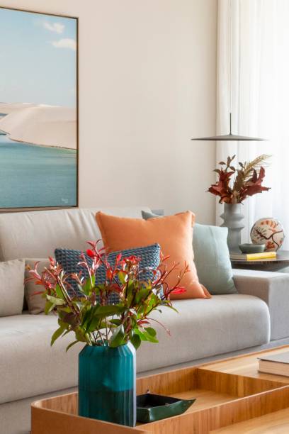 Projeto de Paula Muller. Projeto de Paula Muller.