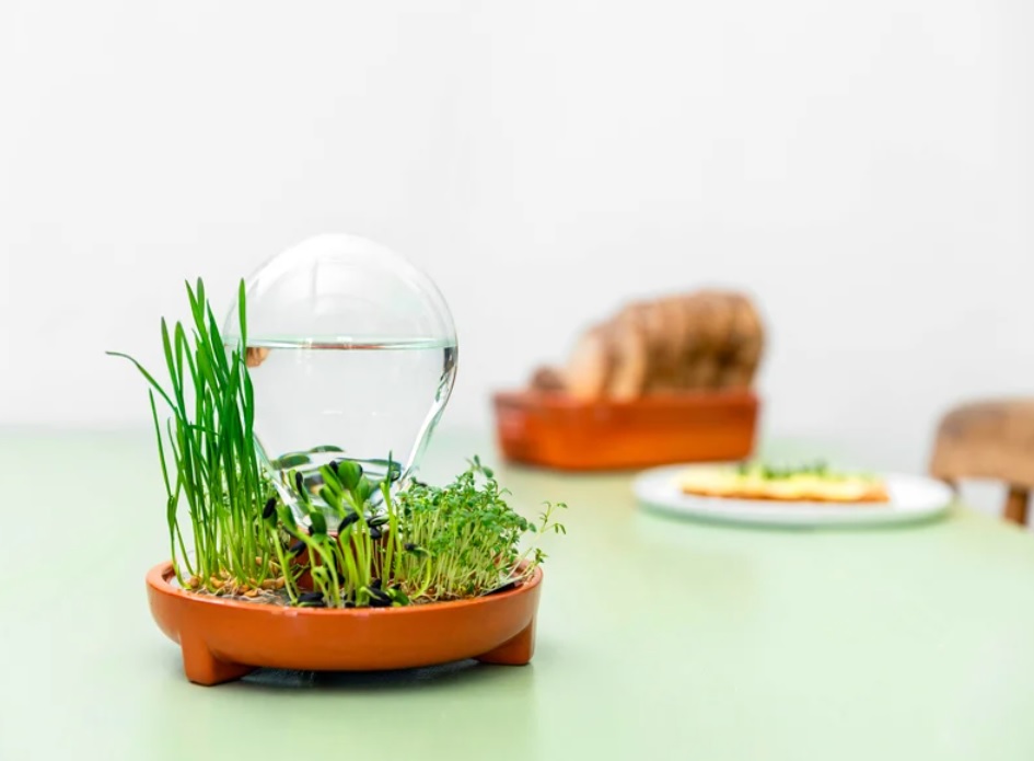 vaso-sem-solo-regar-suas-plantas-uma-vez-designboom-01 Vaso Patella Crescenda com microverdes