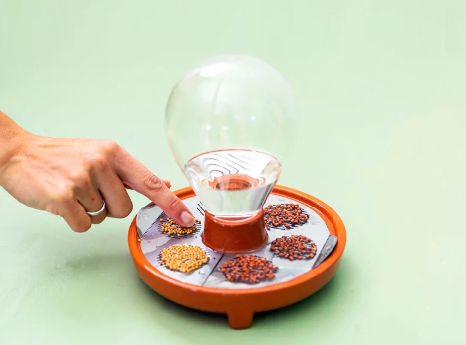 vaso-sem-solo-regar-suas-plantas-uma-vez-designboom-02 Vaso Patella Crescenda com sementes de microverdes