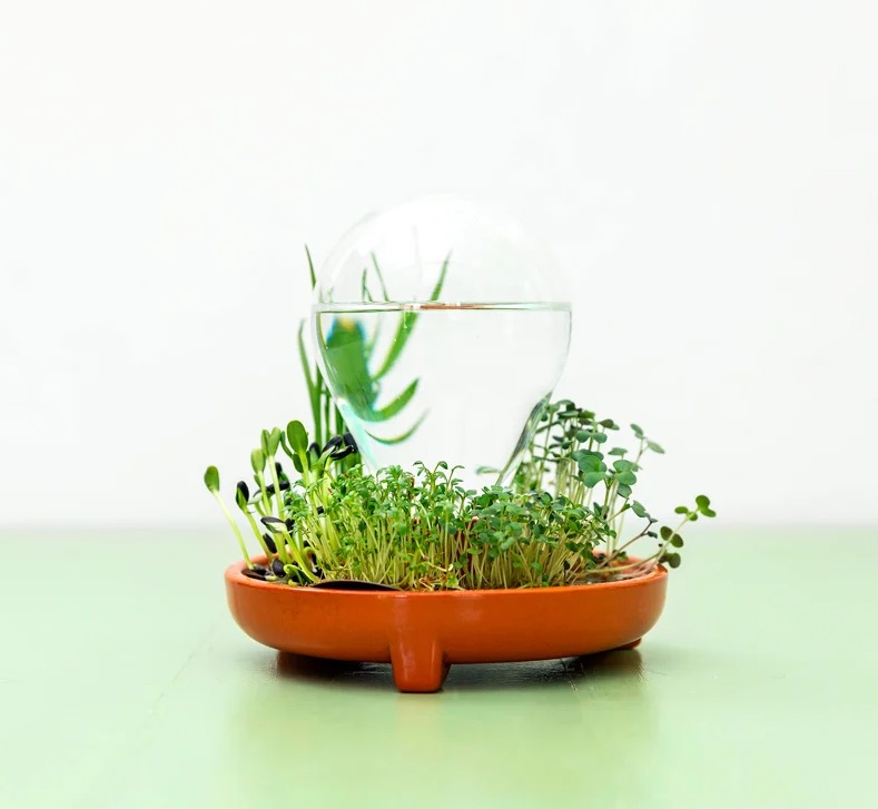 vaso-sem-solo-regar-suas-plantas-uma-vez-designboom-04 Vaso Patella Crescenda com microverdes