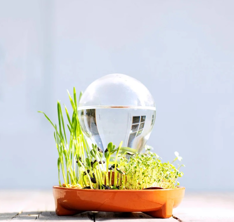 vaso-sem-solo-regar-suas-plantas-uma-vez-designboom-05 Vaso Patella Crescenda com microverdes