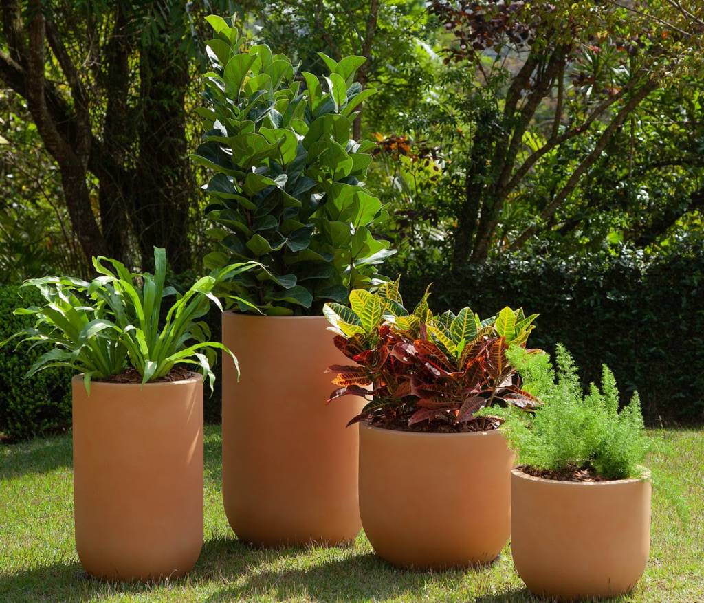 cores-e-plantas-de-ano-novo-prepare-a-casa-e-jardim-vasart-vaso-plantas-03 Cores de ano novo; plantas de ano novo; flores de ano novo