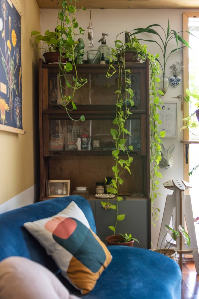 ape-80m-decoracao-memorias-paleta-de-cores-terrosa-sertao-arquitetos-14-sala-plantas-sofa-azul Sala de estar com estante, sofá azul e plantas suspensas.