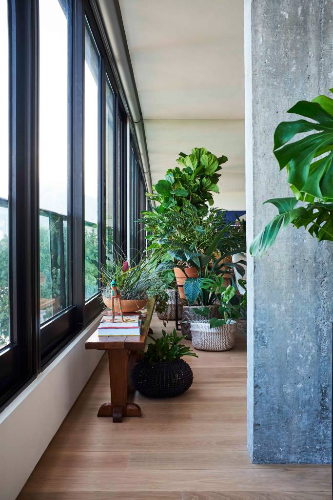 Sala com piso de madeira e plantas e folhagens.