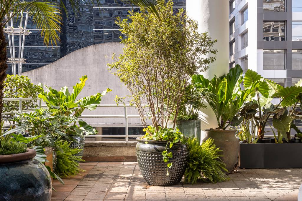 mirante-paulista-jardim-mistura-plantas-nativas-exoticas-cate-poli-e-joao-jadao-03 Jardim com folhagens, jabuticabeira.