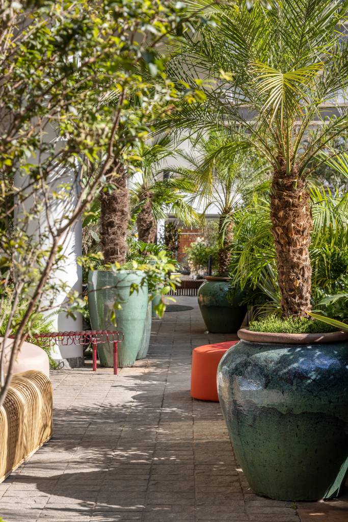 mirante-paulista-jardim-mistura-plantas-nativas-exoticas-cate-poli-e-joao-jadao-05 Jardim com vasos grandes coloridos com jabuticabeiras e palmeiras.