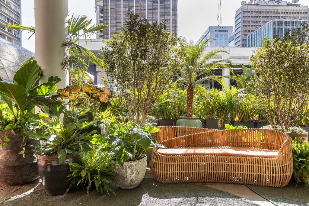 mirante-paulista-jardim-mistura-plantas-nativas-exoticas-cate-poli-e-joao-jadao-07 Jardim com plantas e folhagens e sofá curvo de rattan.