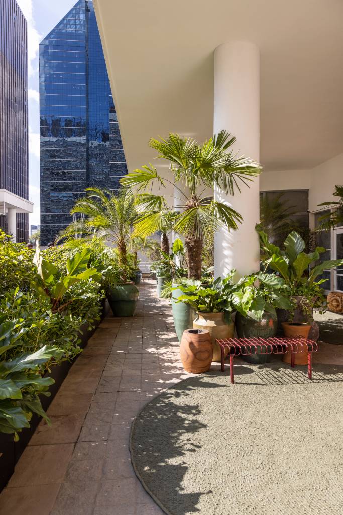 mirante-paulista-jardim-mistura-plantas-nativas-exoticas-cate-poli-e-joao-jadao-11 Jardim com palmeiras e folhagens e tapete redondo verde.