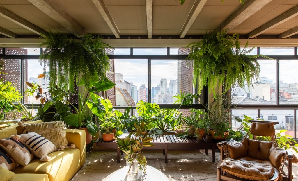 10 dicas para cultivar plantas em apartamentos pequenos