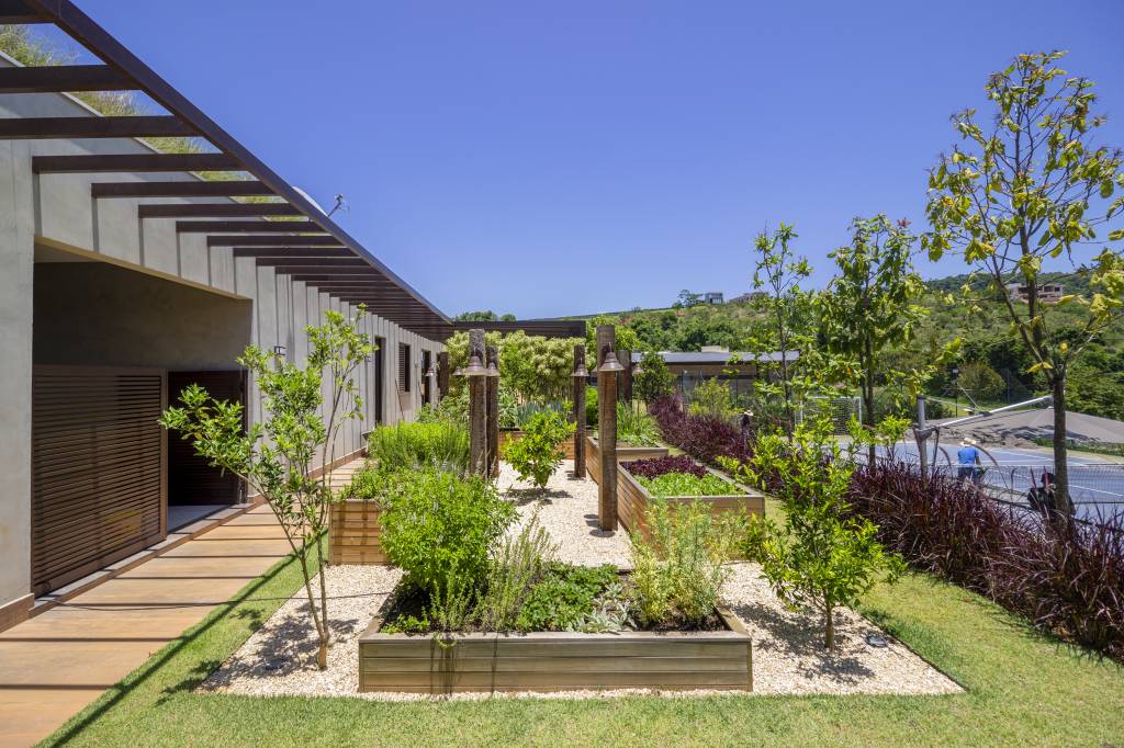 decor-contemporaneo-toques-rusticos-casa-campo-406m-tm-arquitetura-08-jardim Projeto de TM Arquitetura. Na foto, área externa com paisagismo. Plantas, folhagens, gramado.