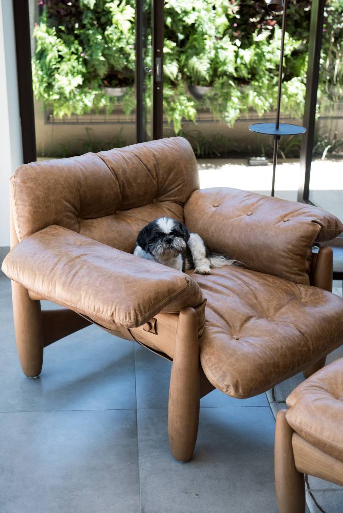 Projeto de Paiva e Passarini Arquitetura. Na foto, cachorro sentado em Poltrona Mole.