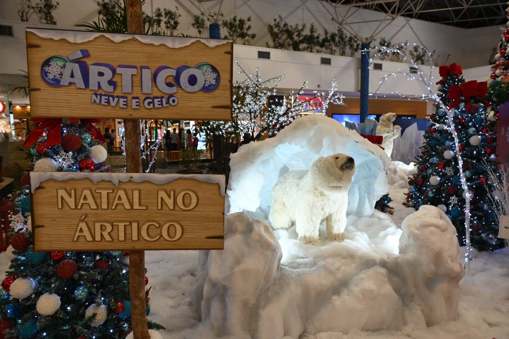 intelre Shopping Interlagos