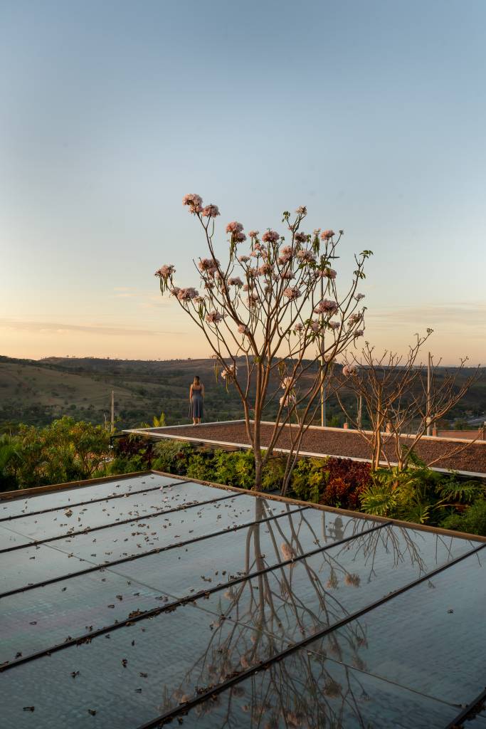 Casa erguida do zero ganha duas cozinhas e muita madeira ripada. Projeto de RF Arquitetura. Na foto, jardim.