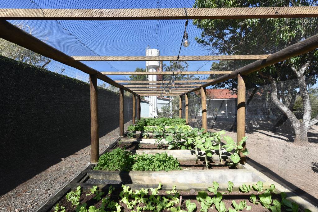 Rústico chic: casa de campo tem orquidário e cozinha com cara de fazenda. Projeto de Rosangela Pena. Na foto, horta.