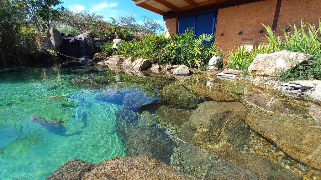 Você conhece a piscina biológica?