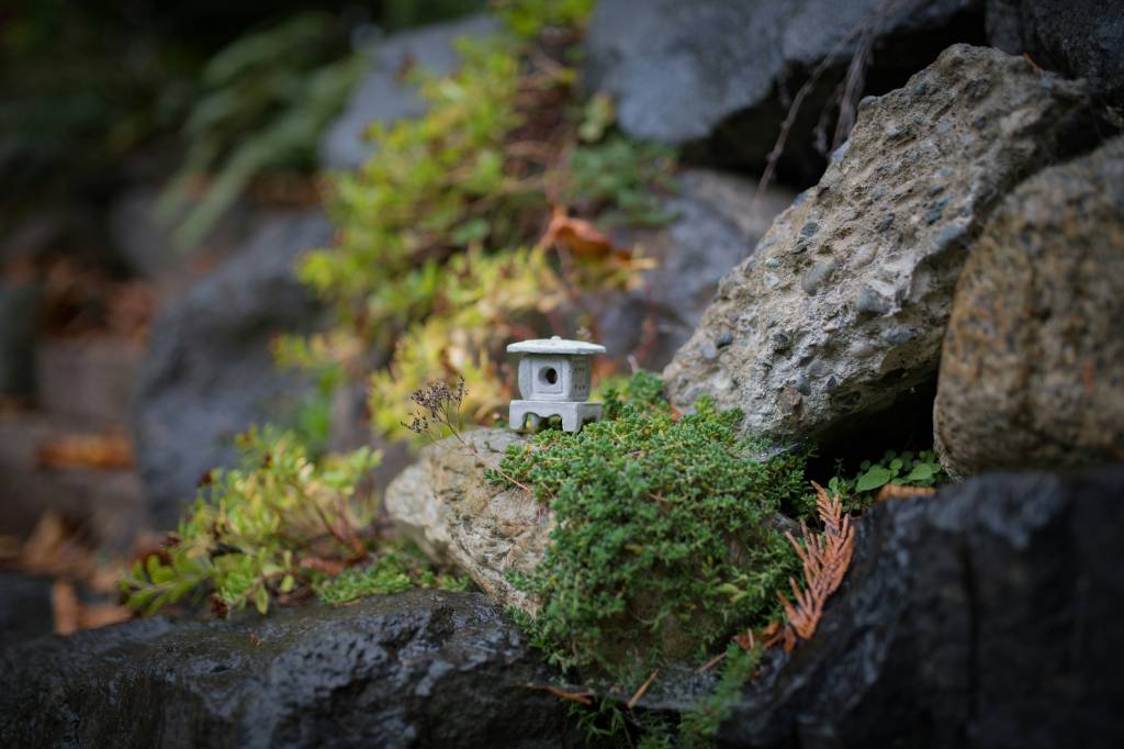 jardim-musgo-perry-kibler-unsplash Jardim de musgos: veja o porquê você deve ter um na sua casa! Na foto, pedras, pequena estátua de templo japonês.