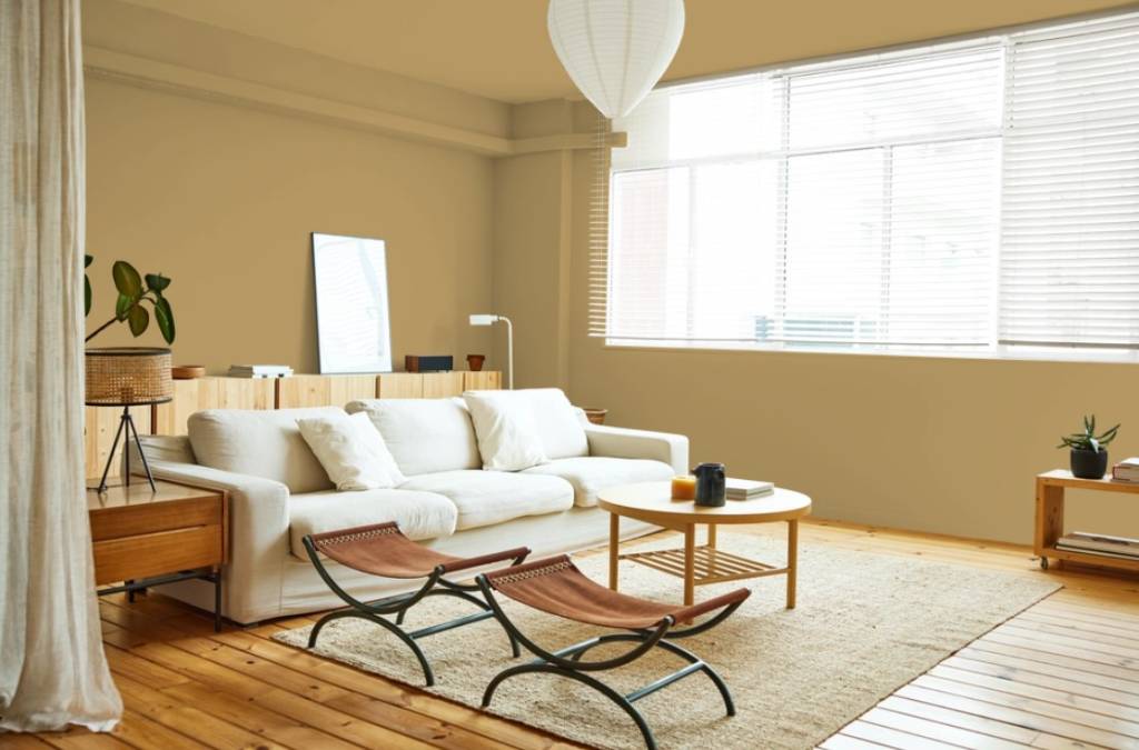 vira-lata-caramelo-vira-cor-de-tinta-02 Vira-lata Caramelo vira nova cor de tinta! Na foto, sala de estar, sofá branco.