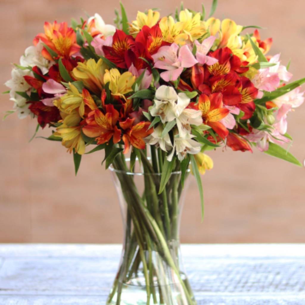 Flores e bem estar: veja quais ajudam com ansiedade, tristeza e medo. Na foto, astromélias coloridas.