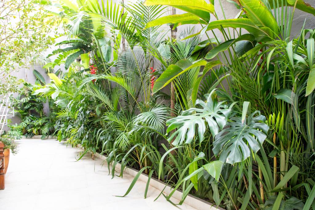 Jardim Pequeno: 60 Modelos, Ideias de Projetos e Inspirações