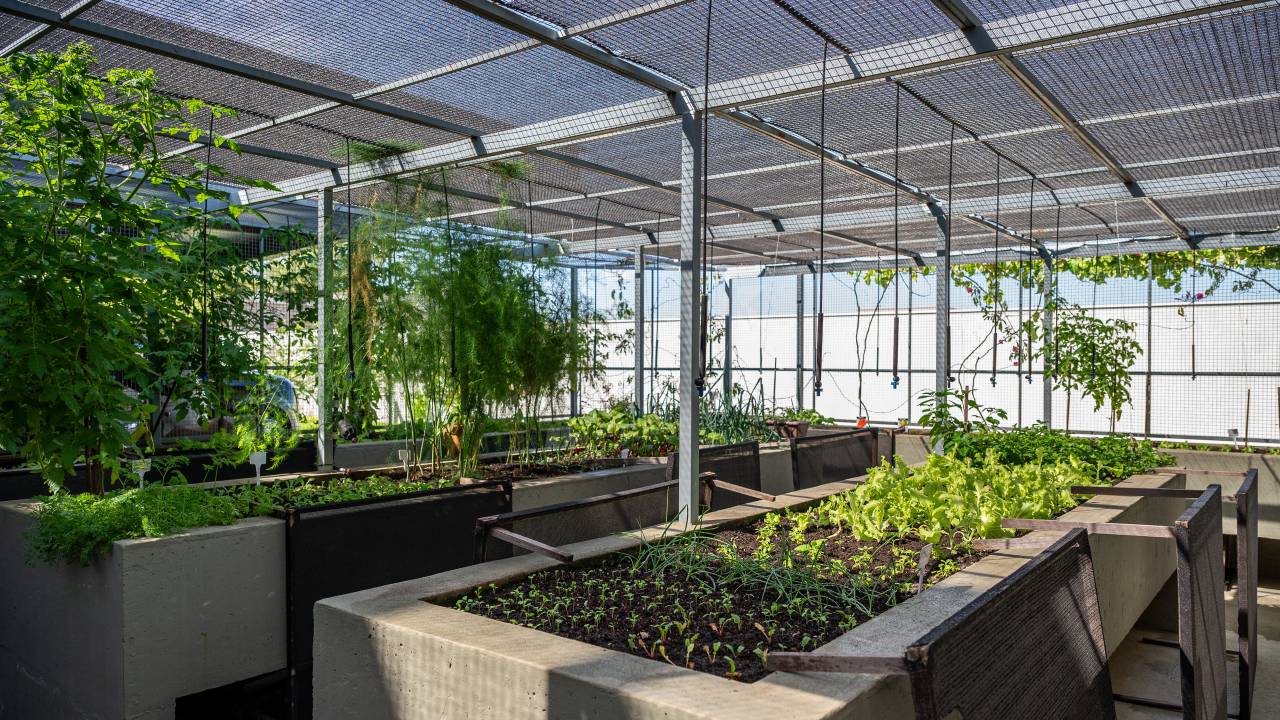 Casa ganha jardim com área para produção de verduras e 47 espécies de plantas. Projeto de paisagismo Flávia D’urso.