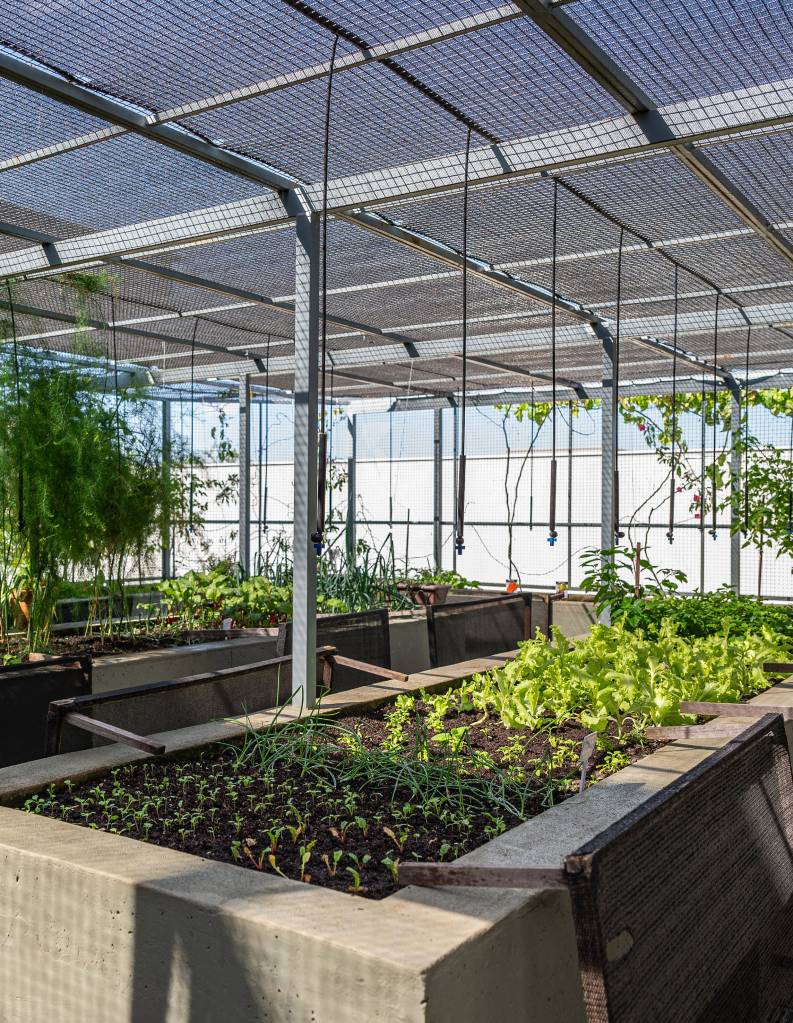 casa-jardim-area-producao-verduras-47-especies-plantas-flavia-d-urso-20 Casa ganha jardim com área para produção de verduras e 47 espécies de plantas. Projeto de paisagismo Flávia D’urso.