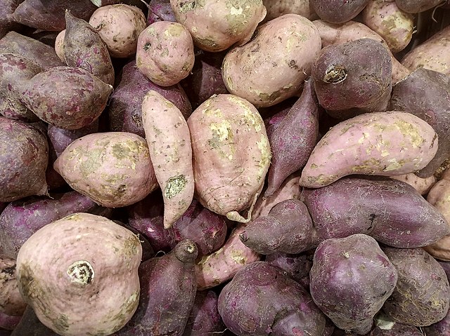Sweet potato Folha de batata-doce: uma PANC para decorar e comer
