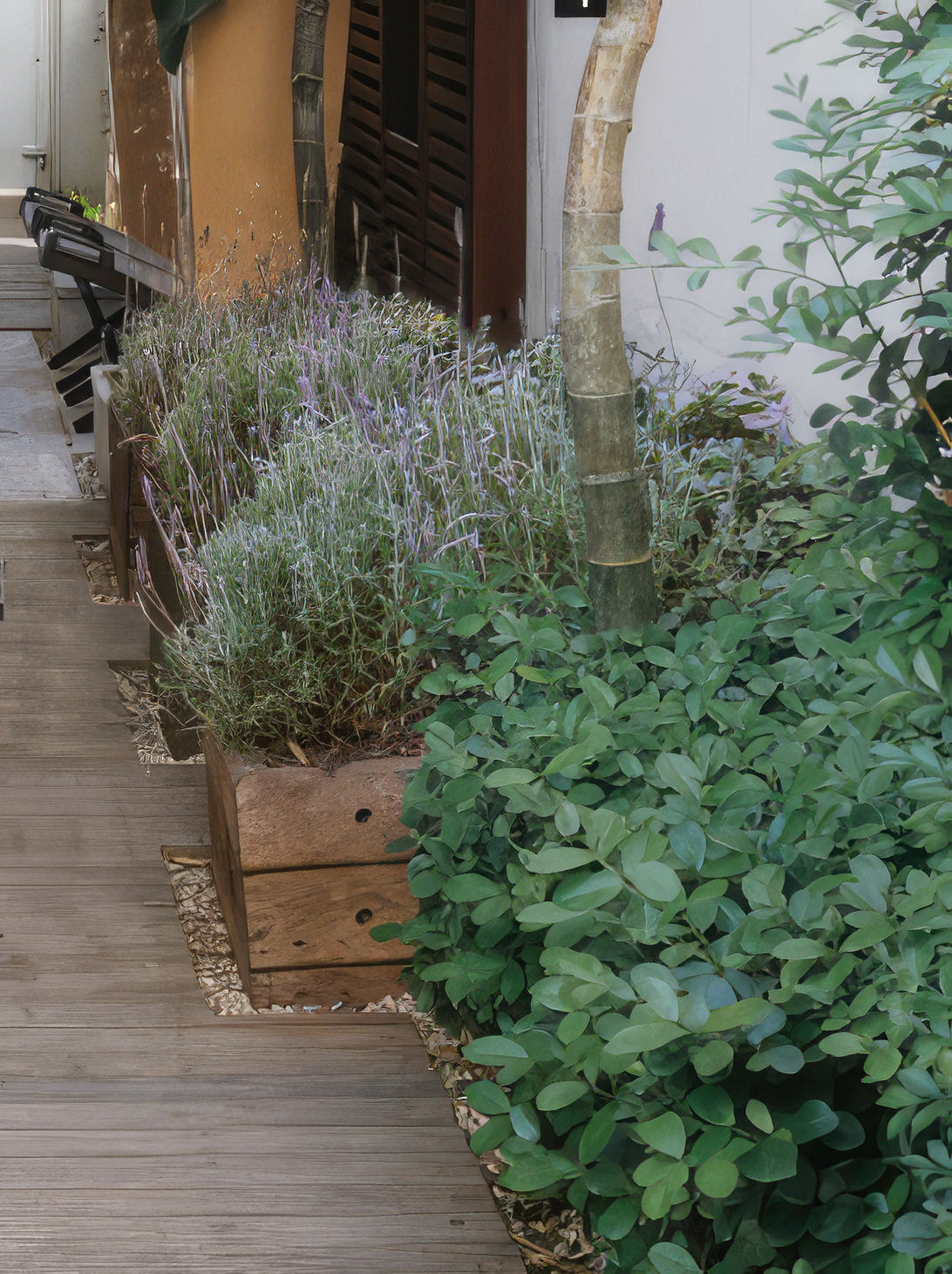 A imagem mostra um vasto campo de lavanda em plena flora&ccedil;&atilde;o, com plantas de flores violetas que se destacam sob a luz do sol. O ambiente natural sugere uma atmosfera relaxante, com as flores alinhadas, criando um padr&atilde;o harmonioso. Ao fundo, pode-se ver um c&eacute;u azul claro, complementando a paisagem serena e arom&aacute;tica.