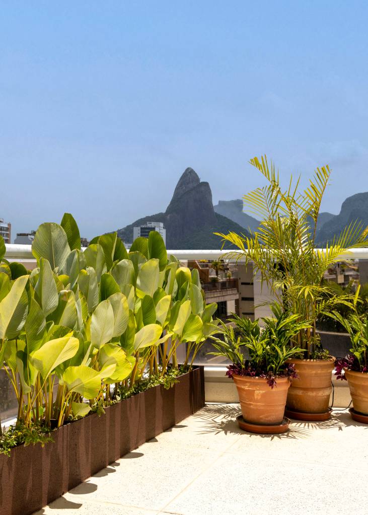 jardins-verticais-divisorias-de-aluminio-e-jardineiras-trazem-privacidade-a-terraco-migs-arquitetura-paisagismo-anna-luiza-rothier-10 Jardins verticais, divisórias de alumínio e jardineiras trazem privacidade a terraço. Projeto de Migs Arquitetura com paisagismo de Anna Luiza Rothier.