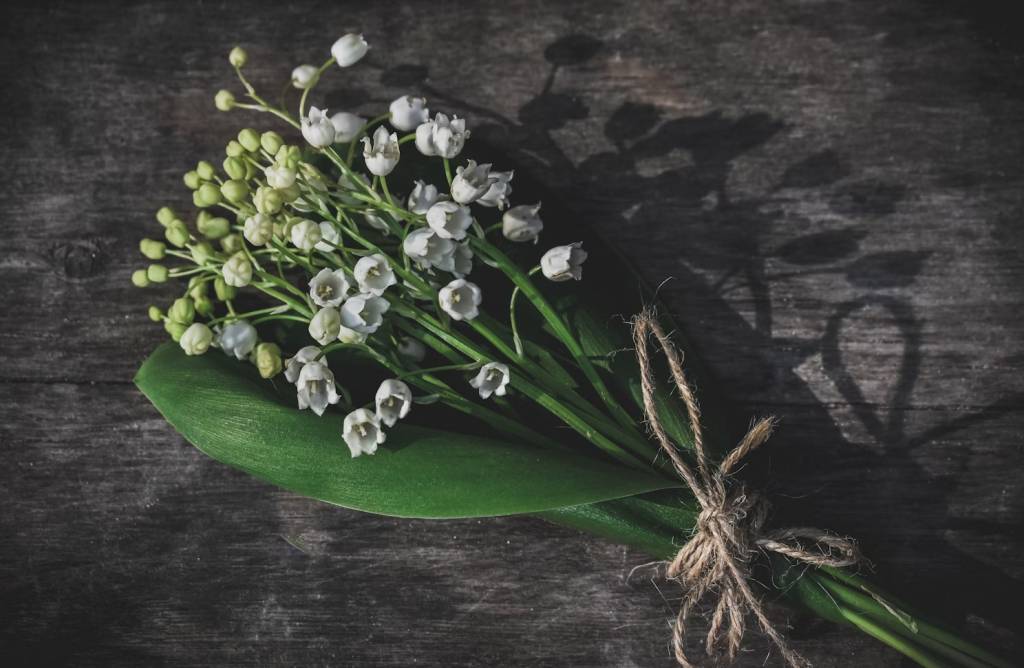 dia-das-maes-descubra-quais-sao-as-flores-populares-pelo-mundo-para-presentear-04 Dia das Mães: descubra quais são as flores populares pelo mundo para presentear
