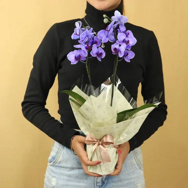 flores-buque-dia-das-maes-03 Dia das Mães: veja qual é a flor perfeita para cada tipo de mãe! Orquídea