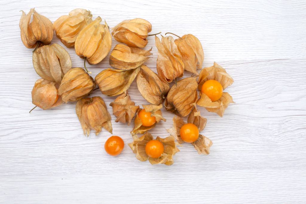 Physalis: descubra os benefícios e três receitas com essa fruta exótica