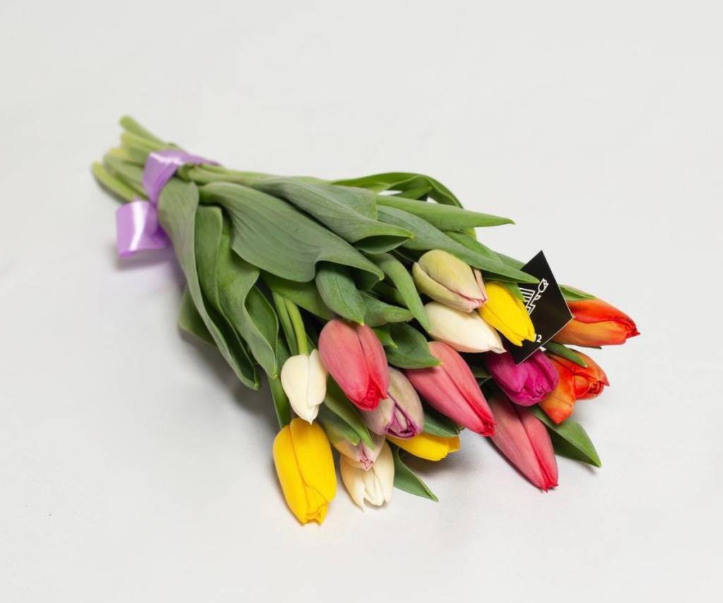 Começo de namoro, reconciliação, agradecimento? Veja qual é a flor certa para cada um
