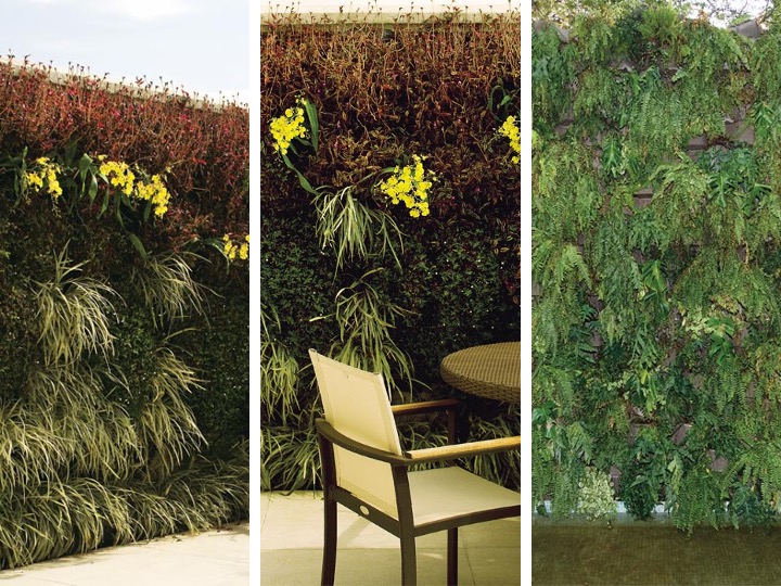 Jardim vertical: 2 projetos incríveis para muros e quintais