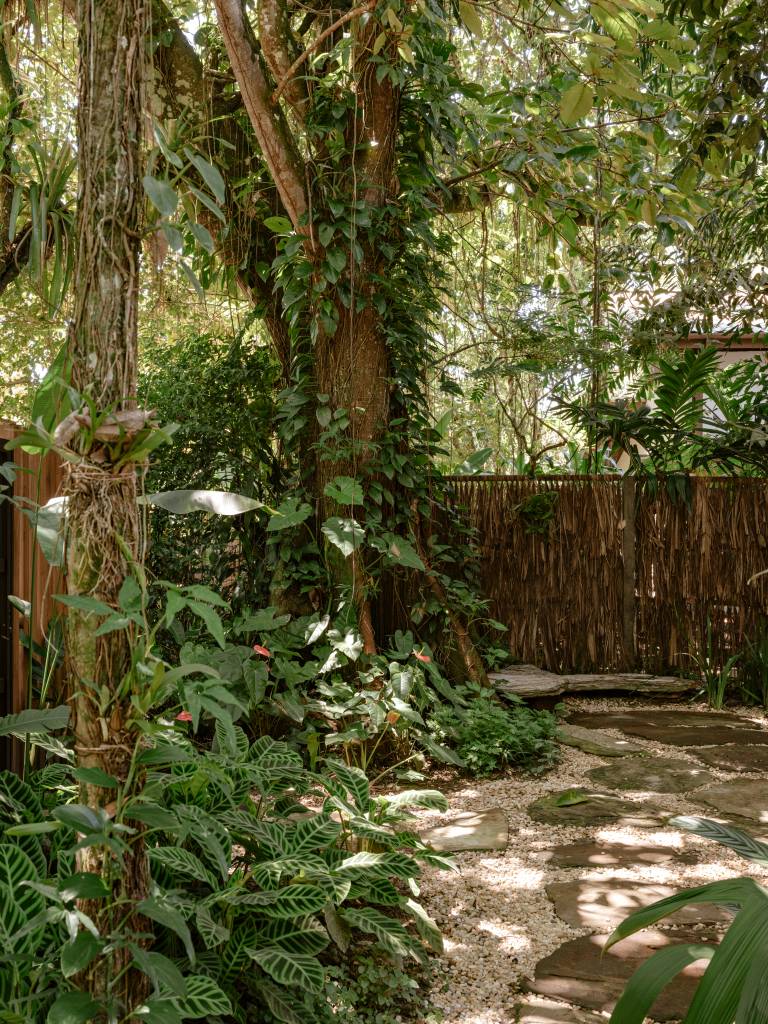 Casa na Mata tem paisagismo composto por mosaico de plantas nativas. Projeto de Jundu Paisagismo.